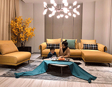 Leather sofa